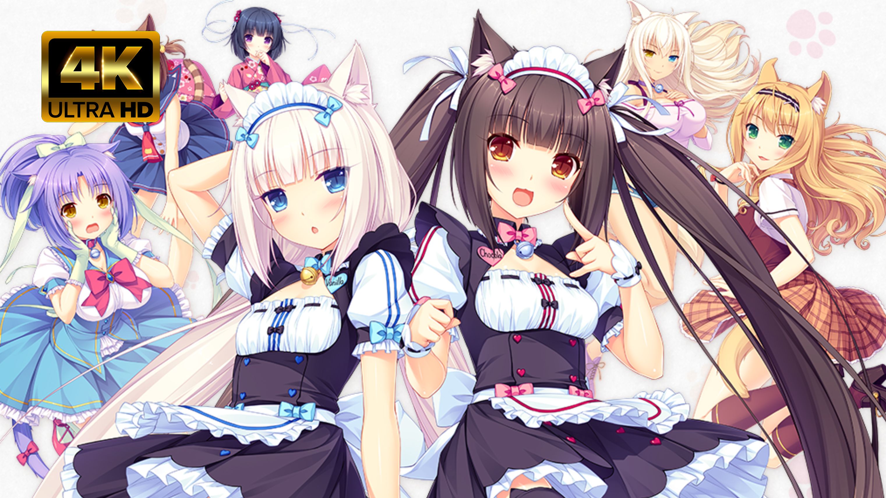 [图]【NEKOPARA Vol.1 猫娘乐园】4K 最高画质 全流程通关攻略