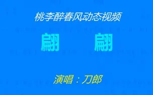 Download Video: 《翩翩》-刀郎-动态视频