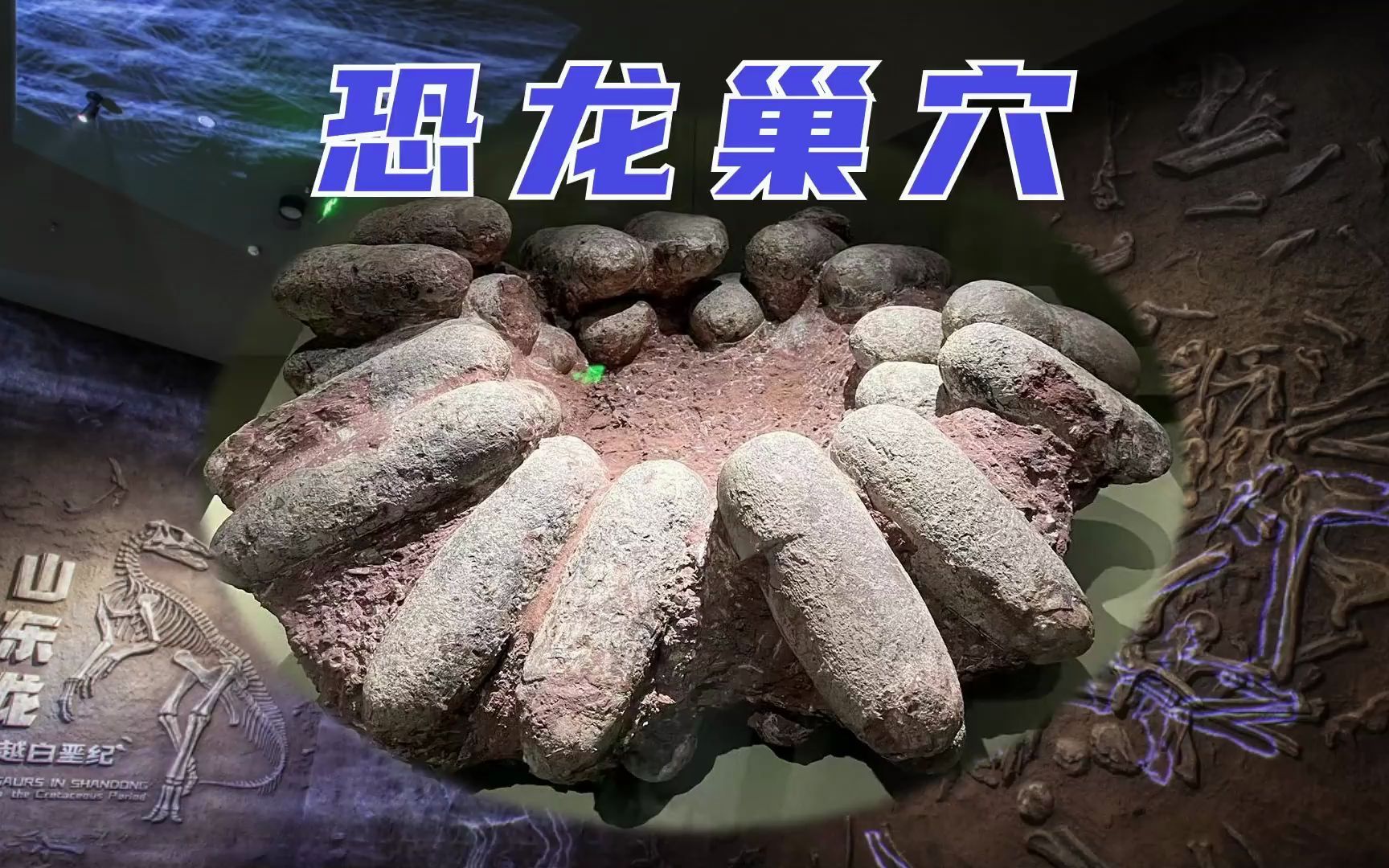 【恐龙】恐龙巢穴