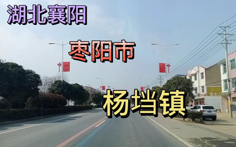 湖北襄阳:枣阳市杨垱镇!哔哩哔哩bilibili