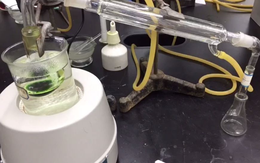 菠菜中色素的提取