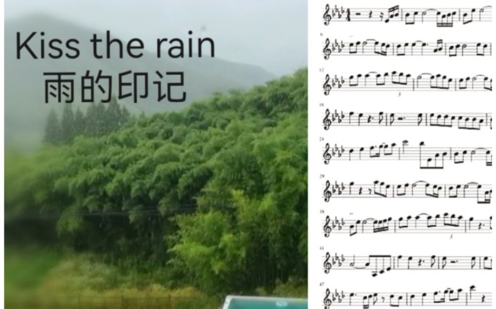 长笛曲谱同步Kiss the rain哔哩哔哩bilibili