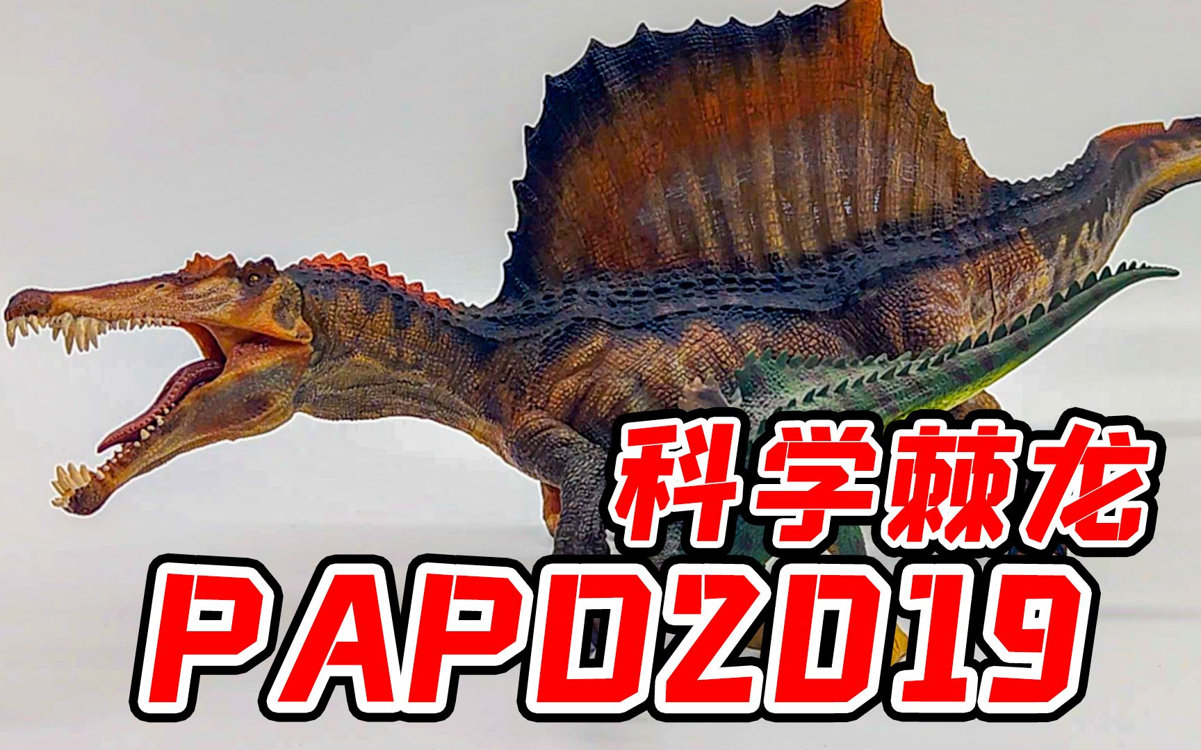 [图]恐龙模型圈的大预言家？PAPO2019科学棘龙！