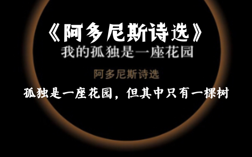 【读书文摘】《阿多尼斯诗选》——“我向星辰下令,我停泊瞩望,我让自己登基,做风的君王.”哔哩哔哩bilibili