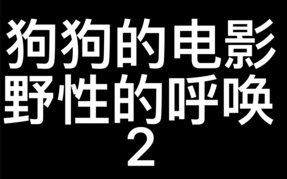 2020年美国电影~野性的呼唤2哔哩哔哩bilibili