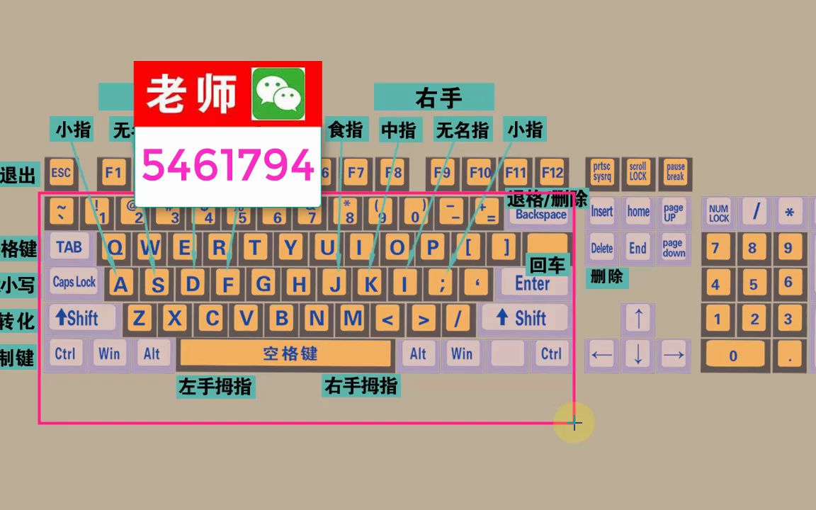 零基礎快速學拼音學五筆打字教程,鍵盤打字快速入門