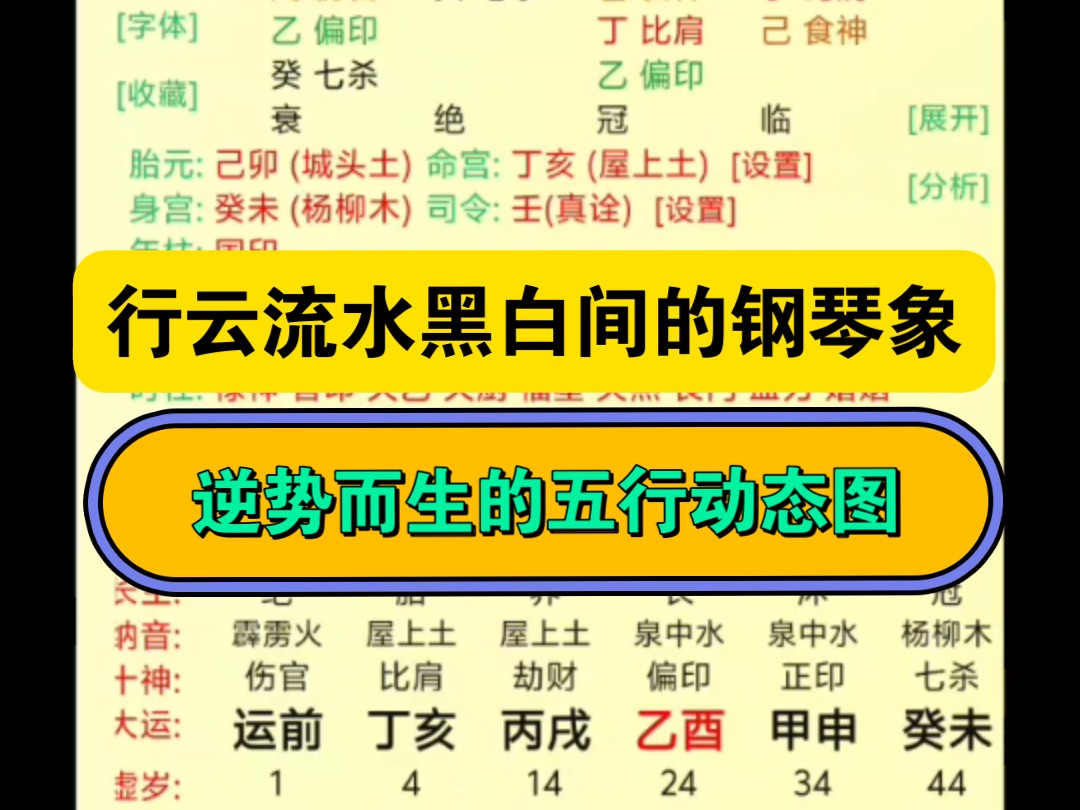 行云流水黑白间的钢琴象,逆势而生的五行动态图!哔哩哔哩bilibili