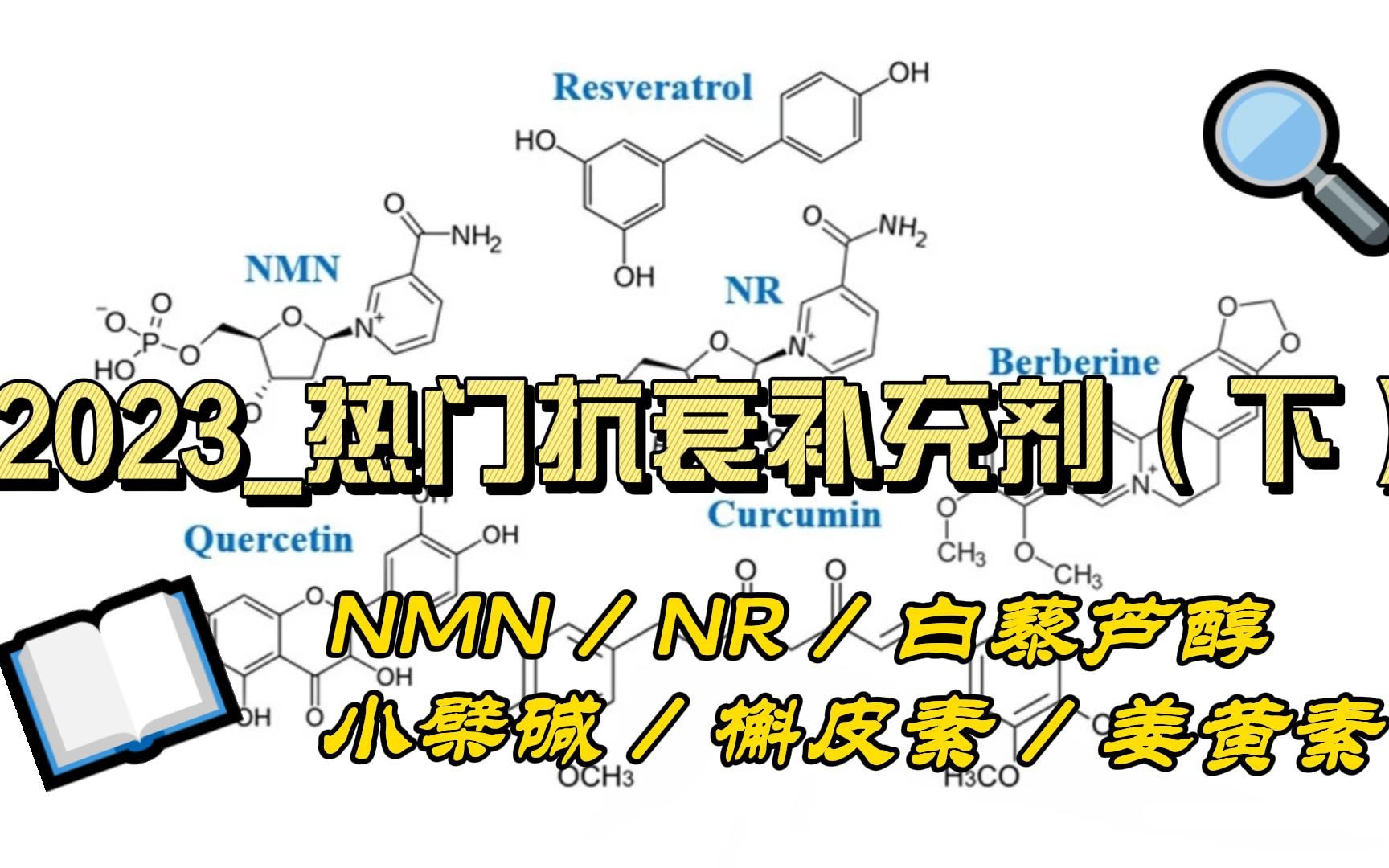 2023热门抗衰补充剂(下):姜黄素、分析与总结哔哩哔哩bilibili