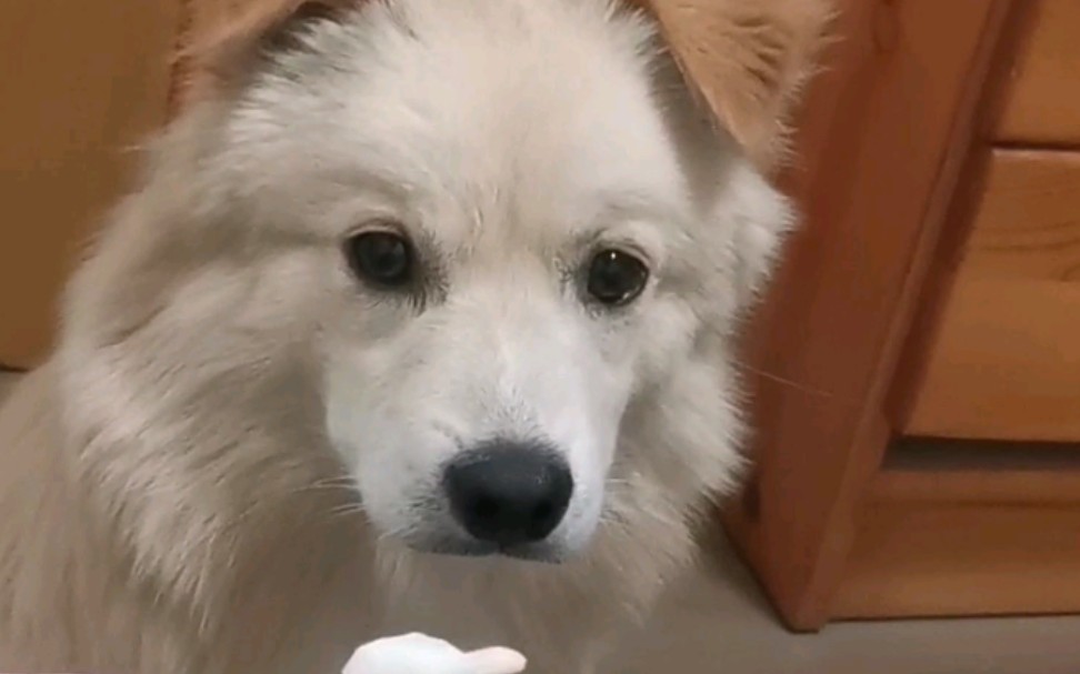 暴风吸入绝绝子