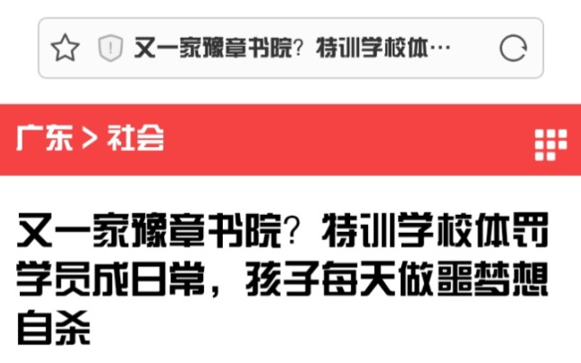 【又一家豫章书院】特训学校体罚学员成日常,孩子每天做噩梦想自杀!哔哩哔哩bilibili