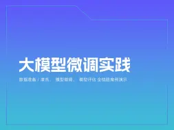 大模型微调实践数据准备/清洗、模型微调、模型评估 全链路案例演示