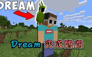 Download Video: 我的世界：Dream变成鹦鹉与乔治通关我的世界