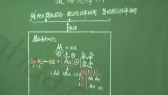 第01讲  遗传定律