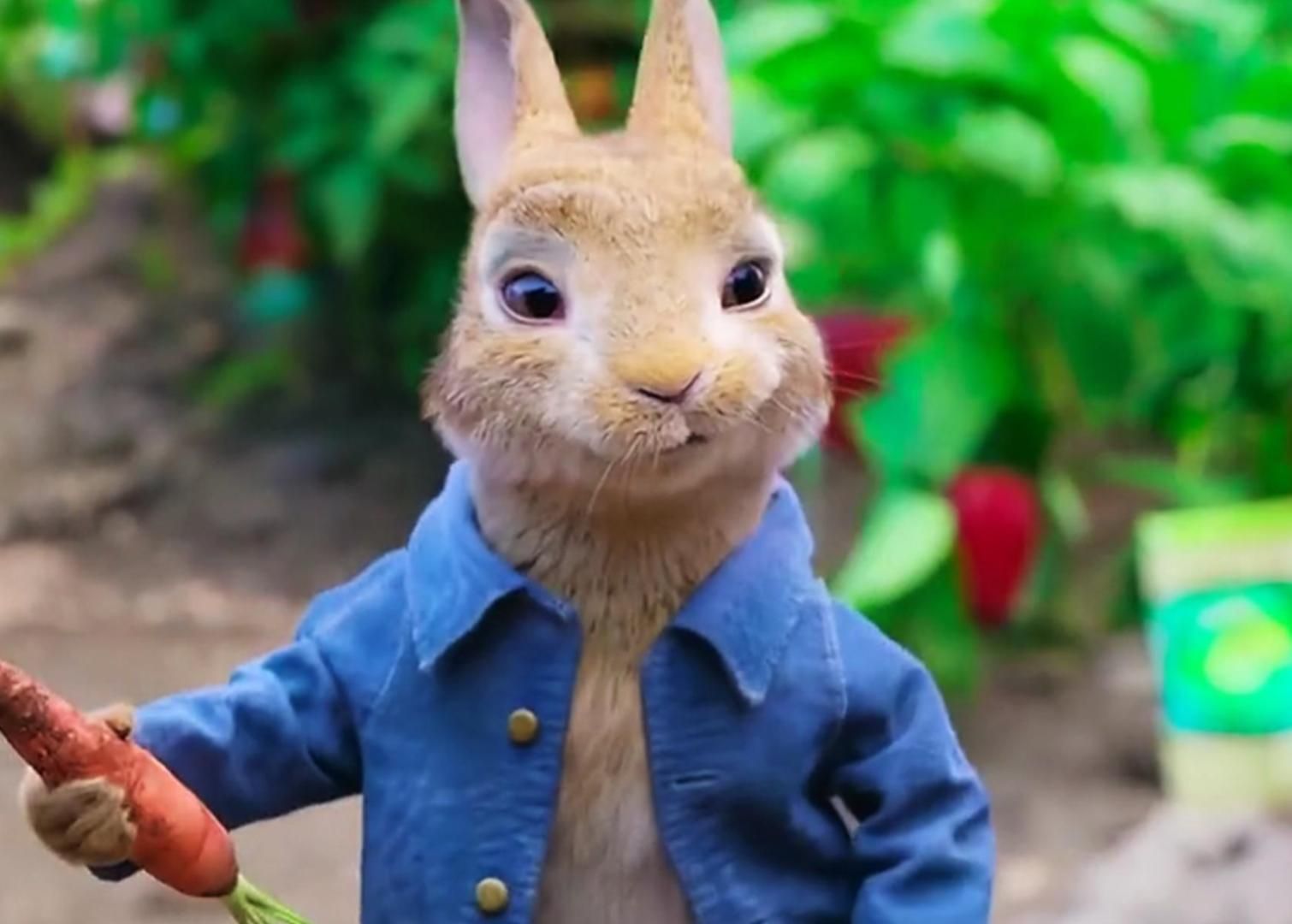 一口气看完喜剧电影《比得兔》