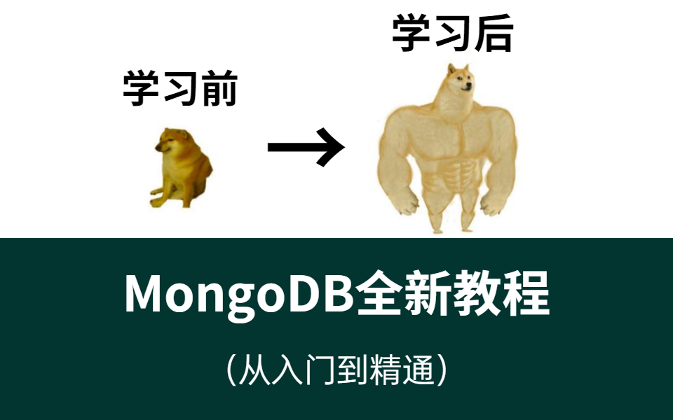 2022最新MongoDB从入门到实战教程【通俗易懂】哔哩哔哩bilibili