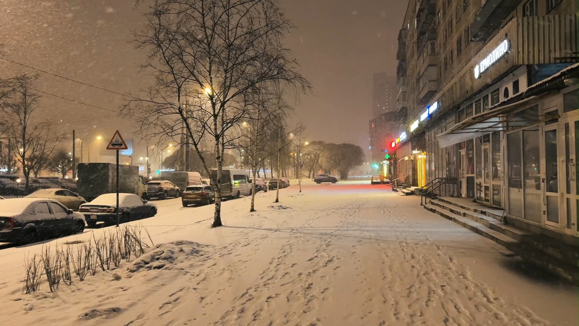 下雪天的圣彼得堡