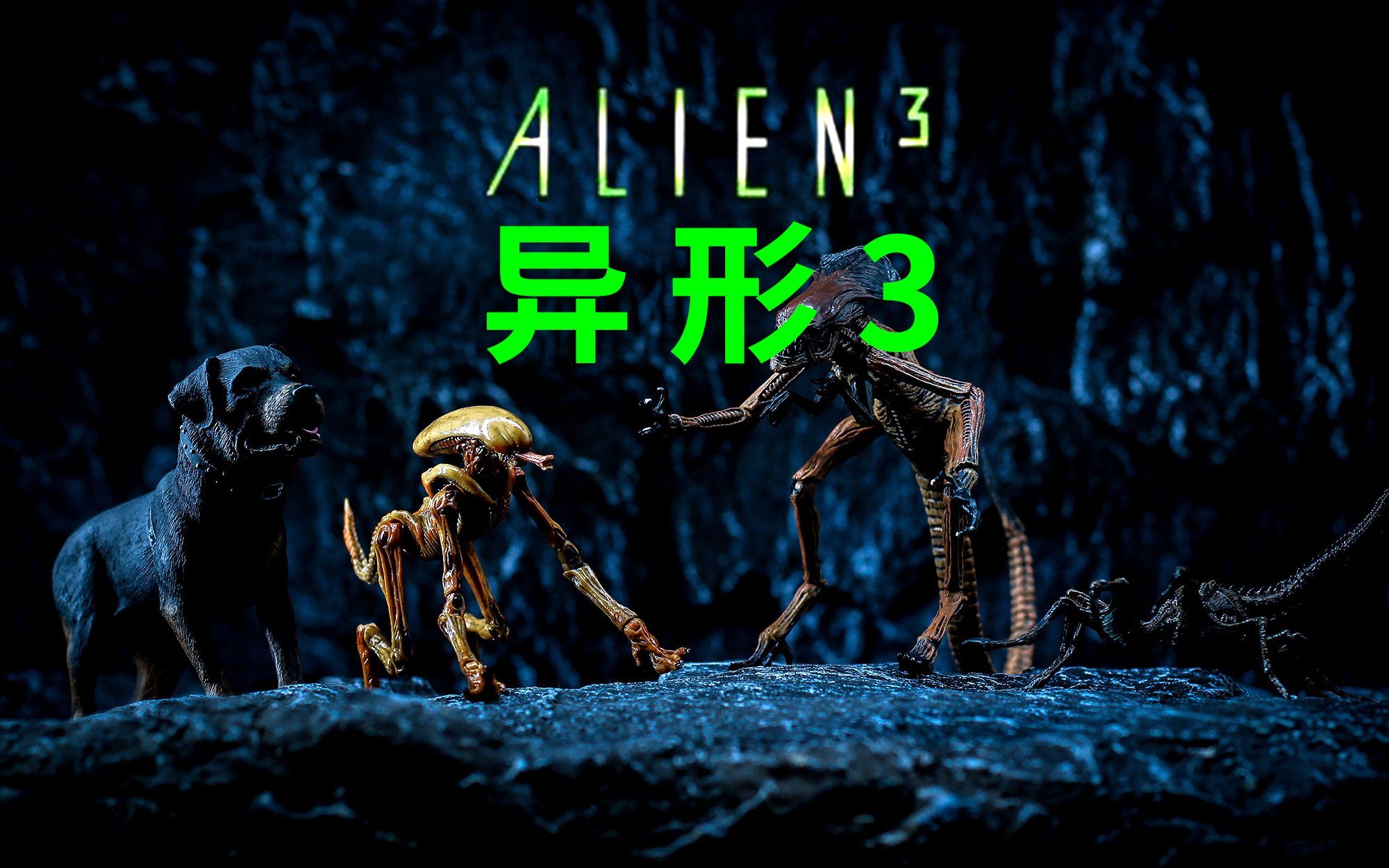 《异形前传3: 罗穆露丝》首发预告,定档2025年7月北美上映!敬请期待!