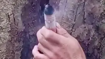 纯天然野生蜂蜜