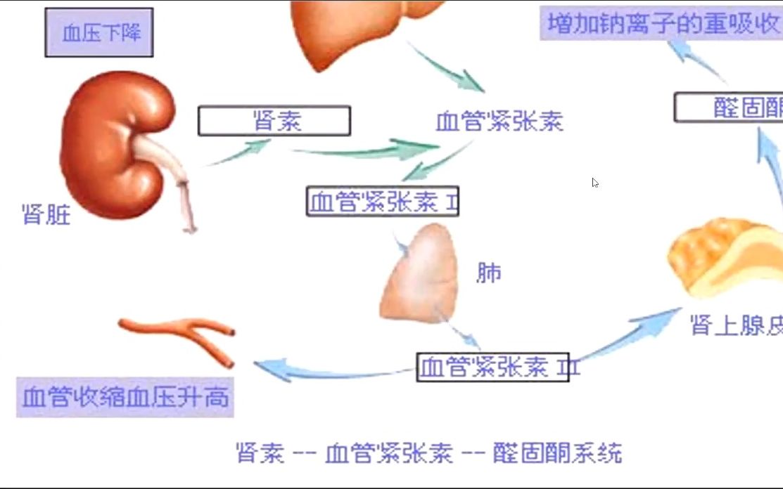 各家学说中医痰饮病学少阴篇雄激素与常见病中医治疗 吴雄志老师哔哩哔哩bilibili