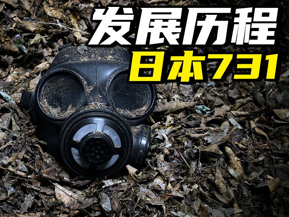 日本731发展历程,总指挥石井四郎为什么逃避审判,731罪行哔哩哔哩bilibili