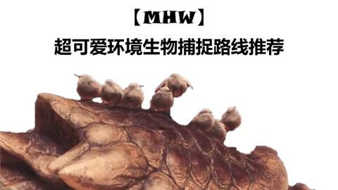 Mhw 可爱即正义 猛汉王超可爱环境生物速刷路线推荐 哔哩哔哩