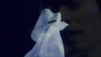 Spitz とげまる1011 日なたの窓に憧れて 哔哩哔哩 Bilibili