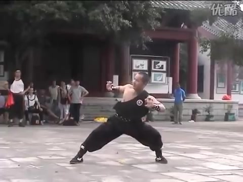 南拳欣赏工字伏虎拳哔哩哔哩bilibili