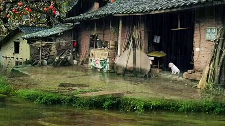 [图]这是我老家农村山沟沟里，如果你不小心刷到了我，那就多花一点时间翻翻我的作品吧。希望我家乡的风景可以治愈你的心情！#美丽的小山村#乡愁#记录我的农村生活