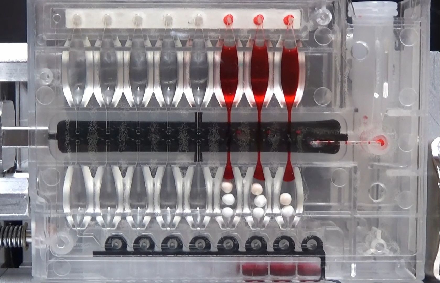 [图]First Light Diagnostics公司 MultiPath平台