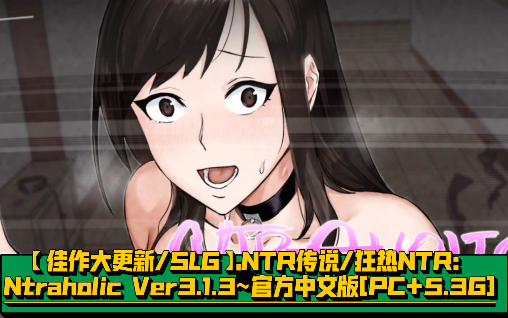 【佳作大更新slg】ntr传说狂热ntr：ntraholic Ver313~官方中文版pc53g 视频video 4520