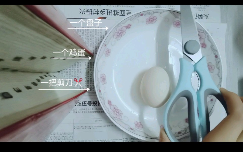 生物 鸡蛋解剖哔哩哔哩bilibili