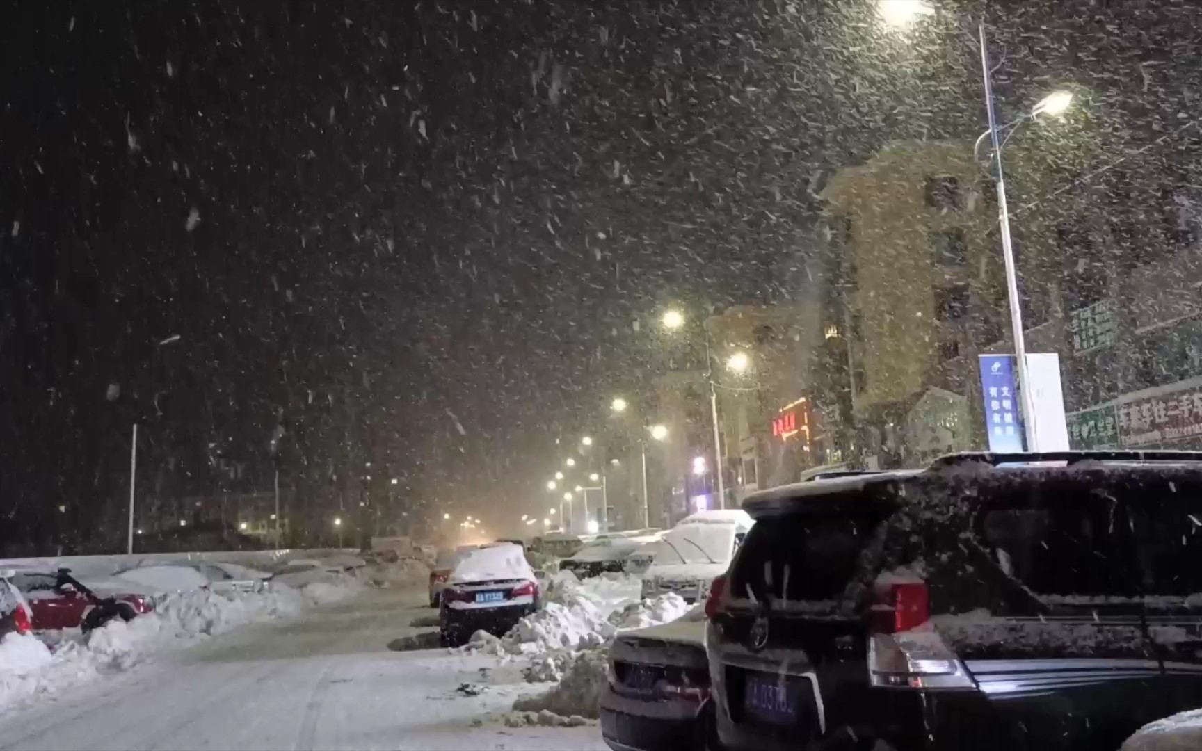 [图]上海的雨&沈阳的雪（都挺大）