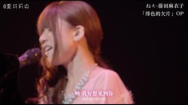 ⭐藤田麻衣子　サイン入りポラ⭐ 蛍 - YouTube