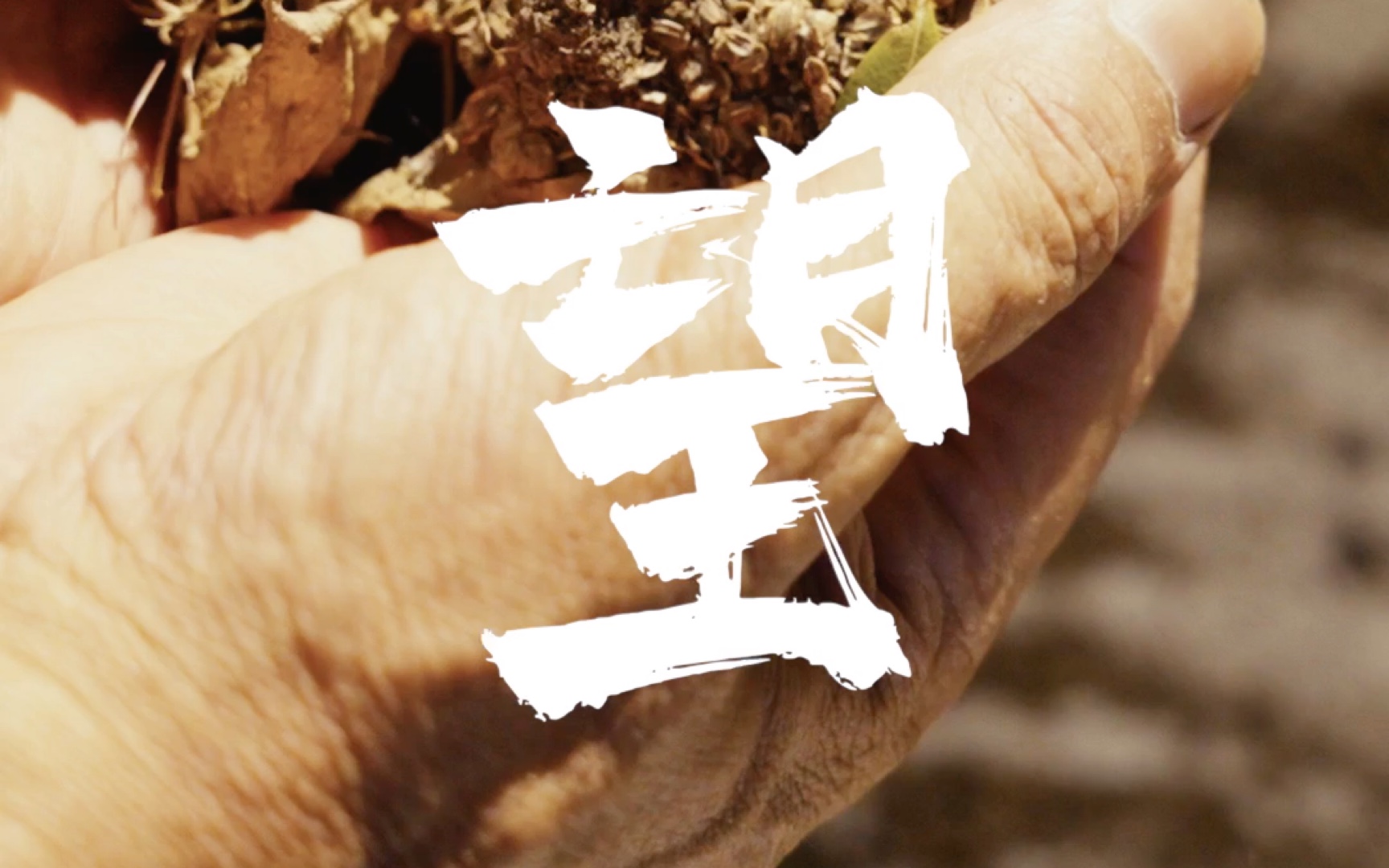 [图]希望呀。余生就这一个希望，能将药浴导引按跷技艺传承下去。