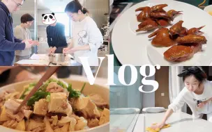 Video herunterladen: Yesterdays’Vlog#72 爸妈来杭州啦｜全家一起包饺子｜酸菜炖排骨｜和狗狗拍写真｜最近的家常小日子