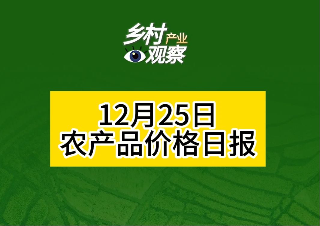 12月25日播报农产品价格日报来啦~哔哩哔哩bilibili