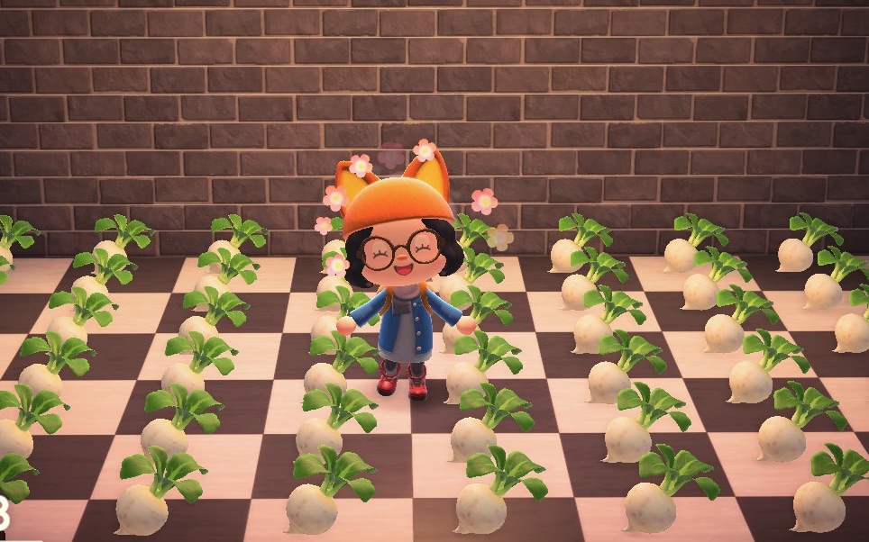 国行switch动森单机版无聊的日常014大头菜