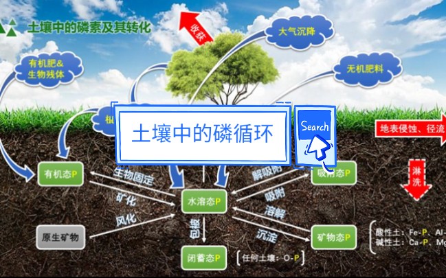 [图]土壤中的磷素及其转化