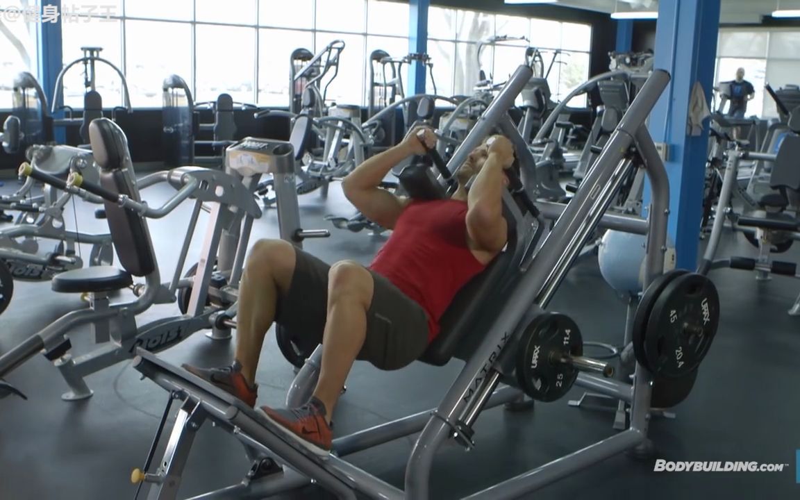 【健身细究】 哈克深蹲的正确做法!