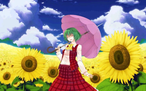 『东方arrange』 幽梦 ～ inanimate dream_哔哩哔哩 (゜-゜)つロ