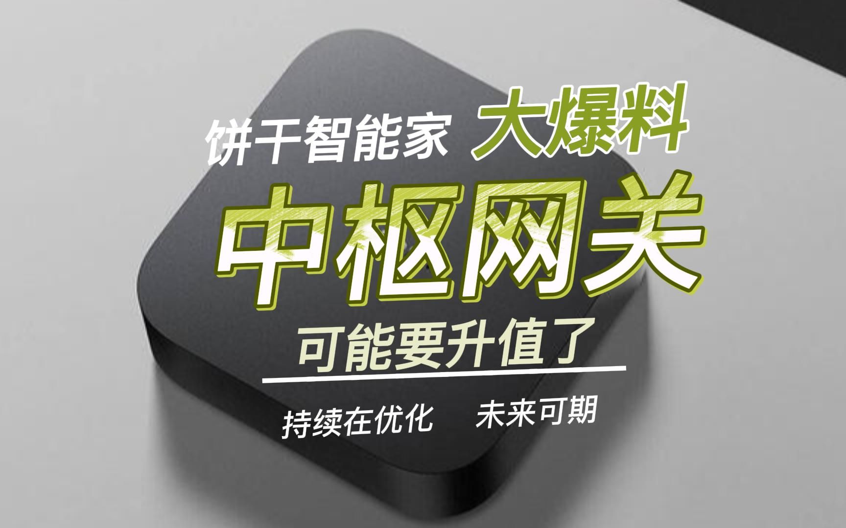 米家中枢网关“三不”爆料,它可能要升值了.哔哩哔哩bilibili