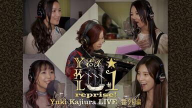 上野洋子】出道20周年纪念LIVE “YK20”_哔哩哔哩_bilibili