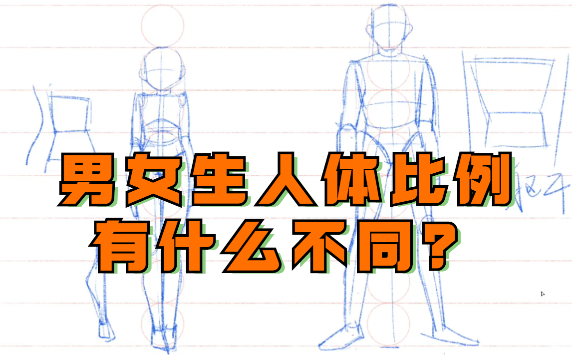 【人体教程】为什么男生女生的人体比例有区别?