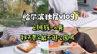 Download Video: 【vlog】哈工大硕士毕业东北上班日常｜上班族一人食｜秋天怎么能不逛公园呢｜超市购物分享