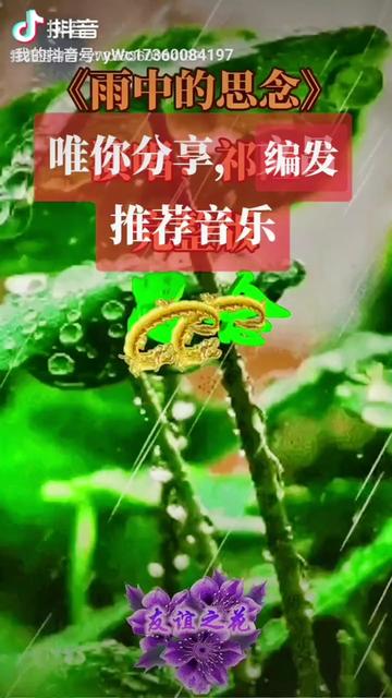 喜歡傷感音樂:就來聽歌:不求贊評:感謝友您來過我的