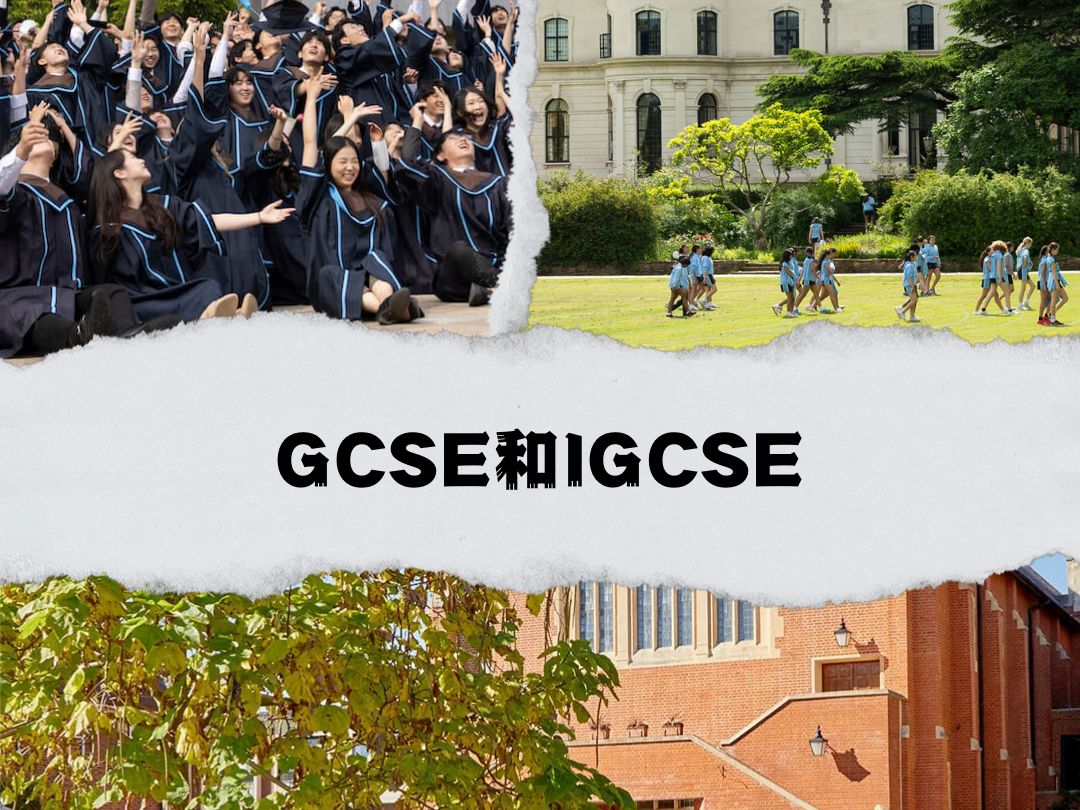 不到3分钟让你看懂GCSE和IGCSE的核心区别哔哩哔哩bilibili