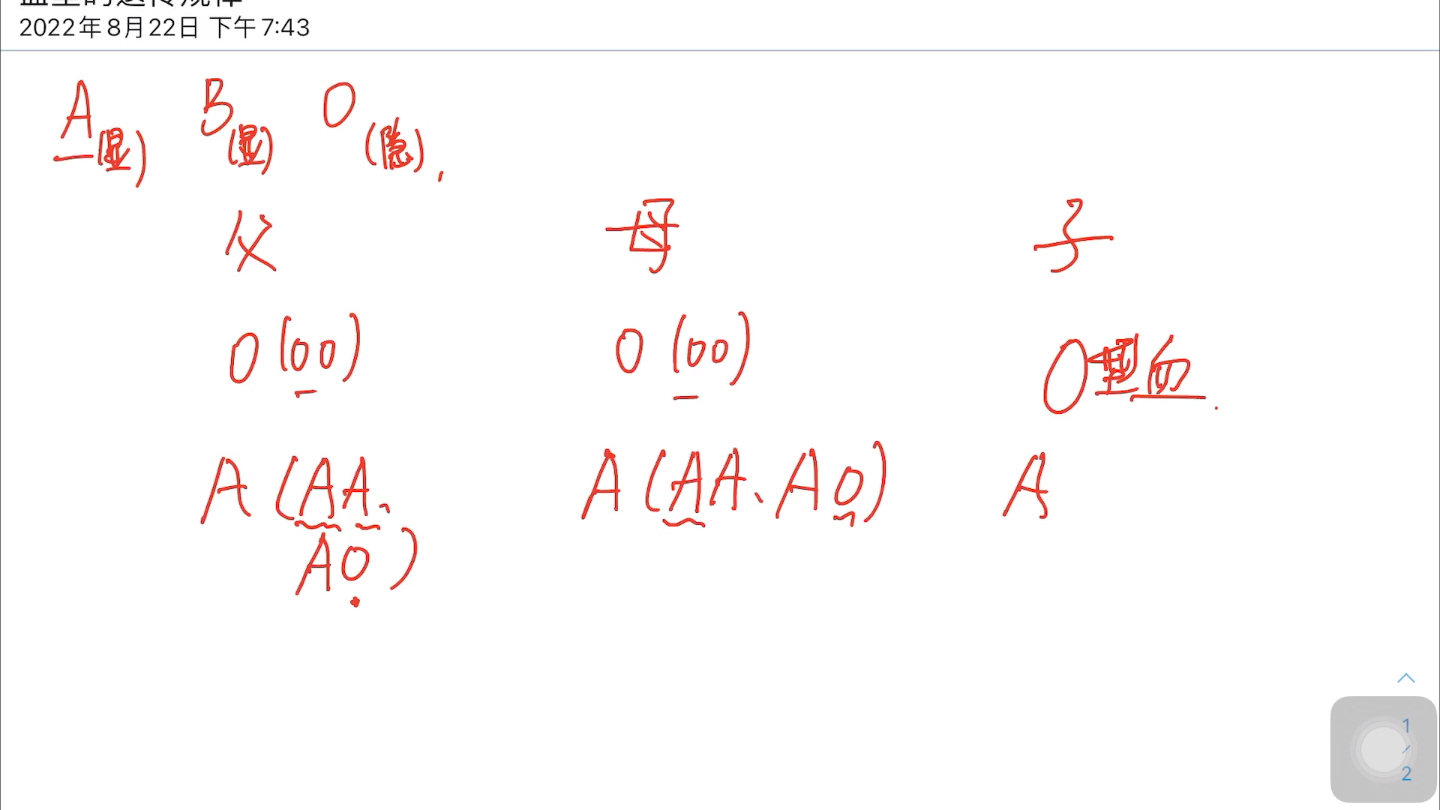 科学推理之血型遗传规律哔哩哔哩bilibili