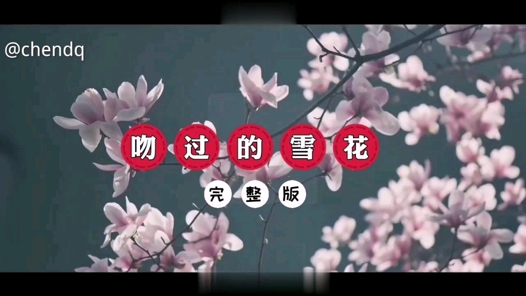 [图]《吻过的雪花》完整版