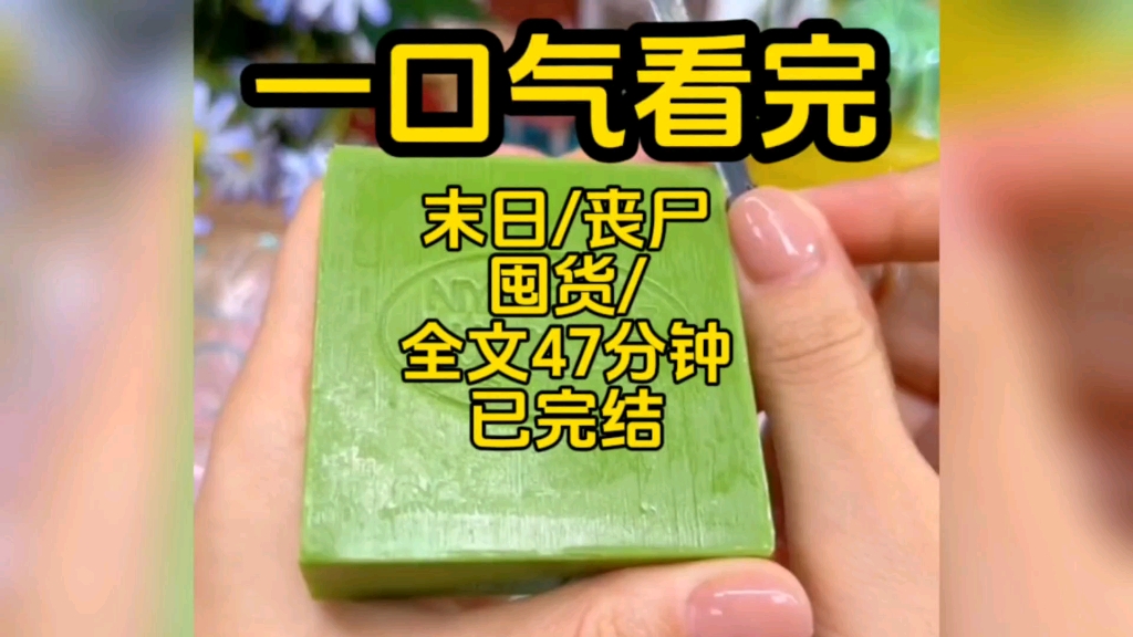 [图]【已完结】末日/丧尸/囤货/躺平/一口气看完，全文47分钟