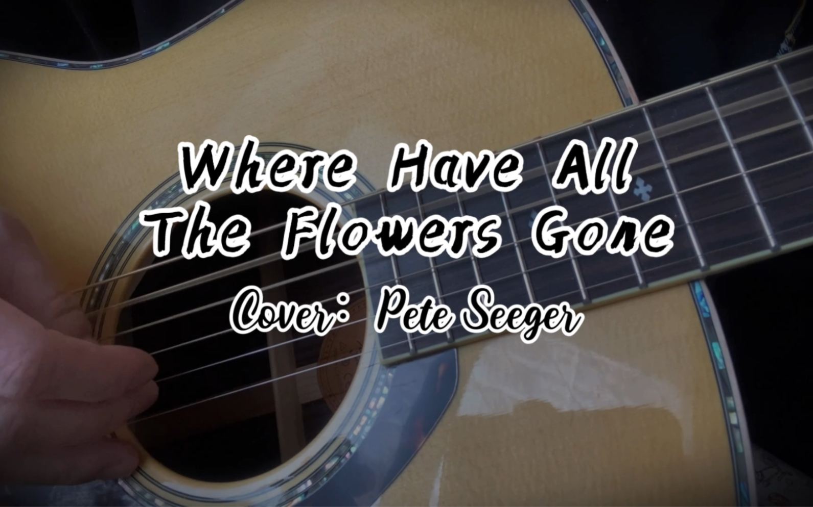 [图]Where Have All The Flowers Gone（Cover）